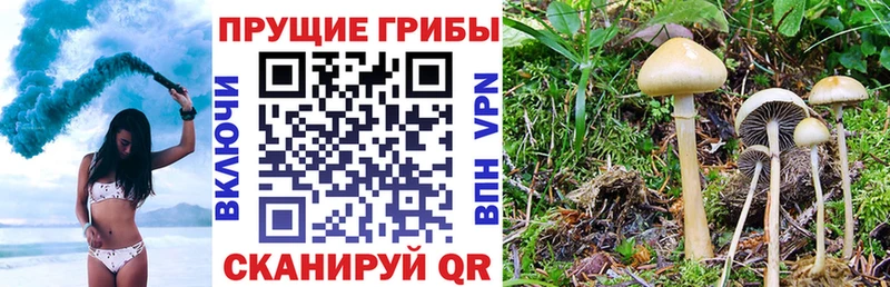 Галлюциногенные грибы ЛСД  Купить  Котельнич 
